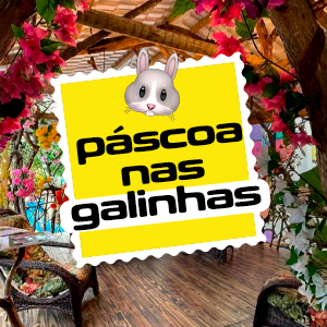 CAPA (9)